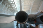 .resize_MDSC_73.JPG