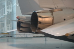 .resize_MDSC_83.JPG