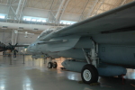 .resize_MDSC_98.JPG