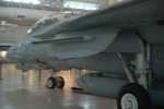 .resize_MDSC_99.JPG