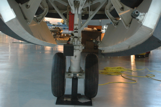 .resize_MDSC_0157.JPG