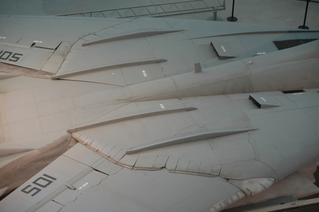 .resize_MDSC_0261.JPG
