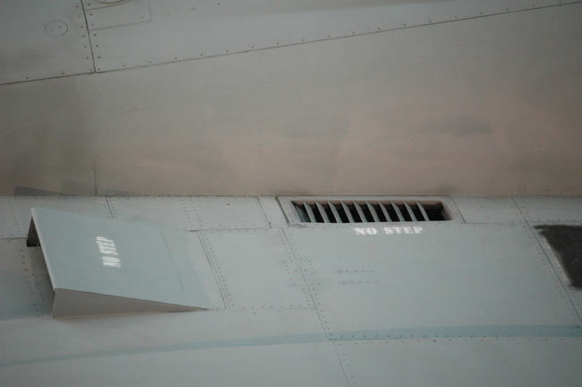 .resize_MDSC_0348.JPG
