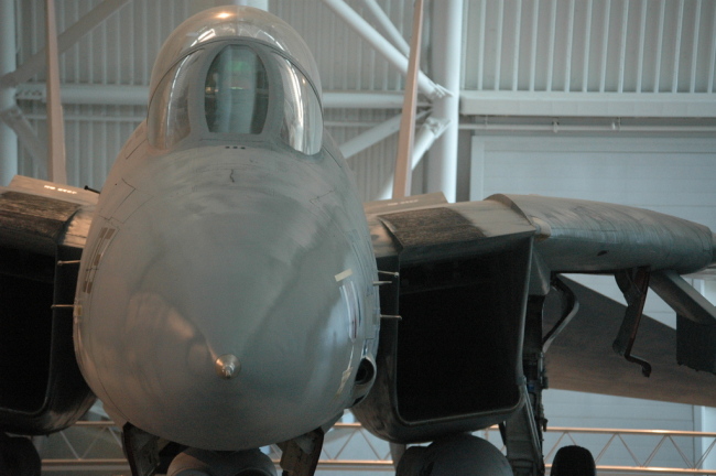 .resize_MDSC_36.JPG