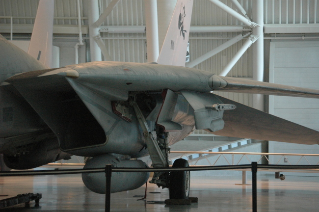 .resize_MDSC_57.JPG