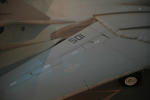 .resize_MDSC_0253.JPG