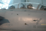 .resize_MDSC_123.JPG