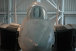 .resize_MDSC_29.JPG