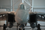 .resize_MDSC_30.JPG