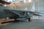 .resize_MDSC_64.JPG